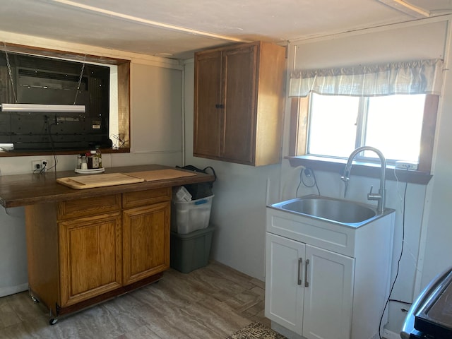 kitchen featuring light hardwood / wood-style flooring and sink