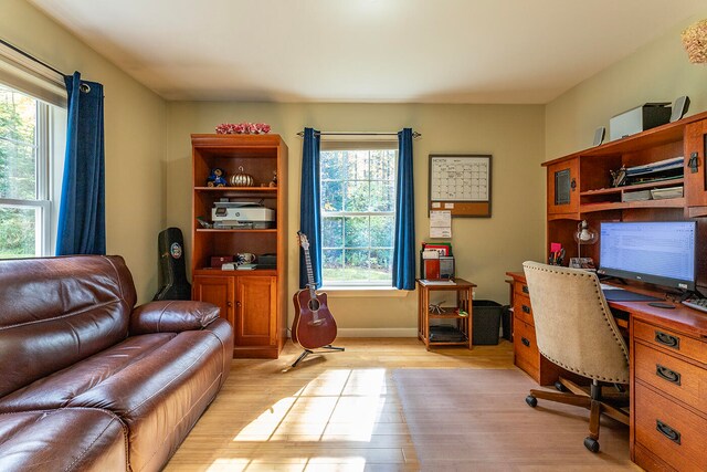 office space with light hardwood / wood-style flooring and a wealth of natural light