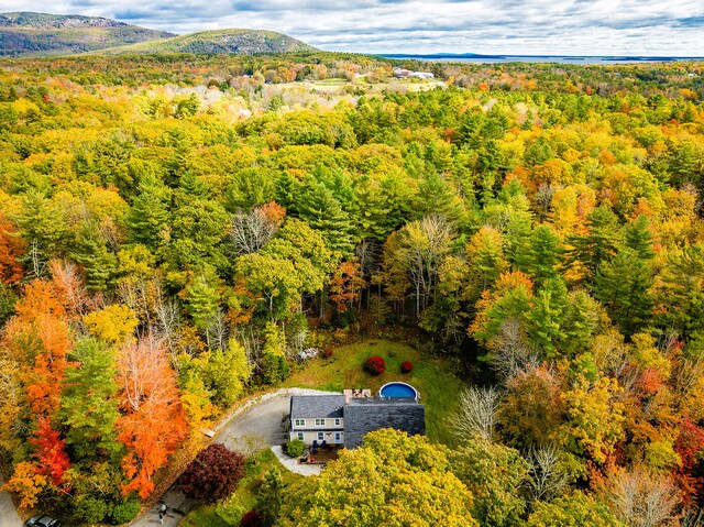 birds eye view of property with a mountain view