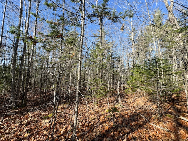 view of local wilderness