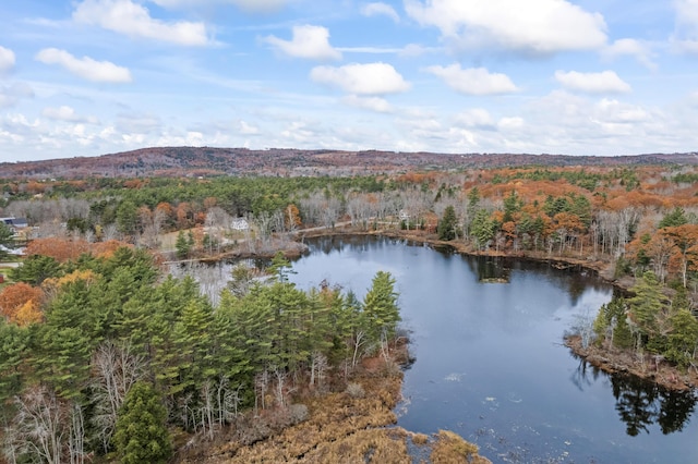 00 Buzzell Hill Rd, Union, ME 04862 - photo 6