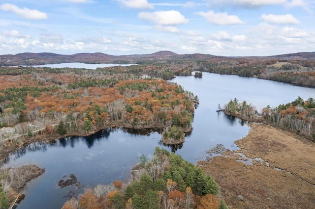 00 Buzzell Hill Rd, Union, ME 04862 - photo 10