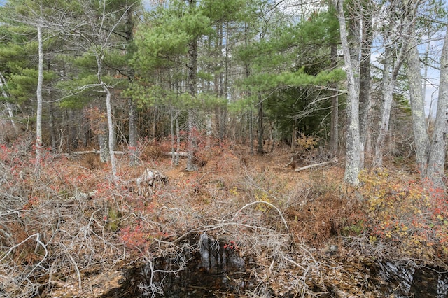 00 Buzzell Hill Rd, Union, ME 04862 - photo 14