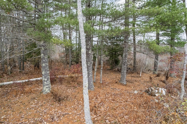 00 Buzzell Hill Rd, Union, ME 04862 - photo 15