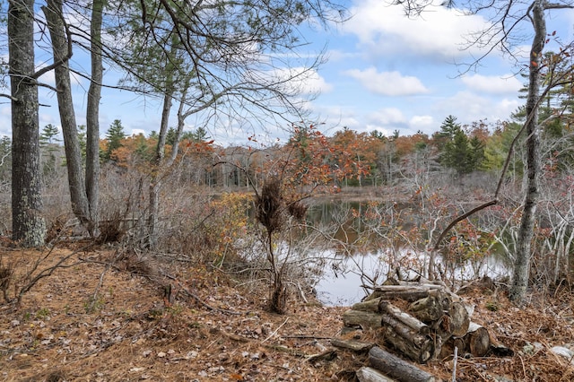 00 Buzzell Hill Rd, Union, ME 04862 - photo 17