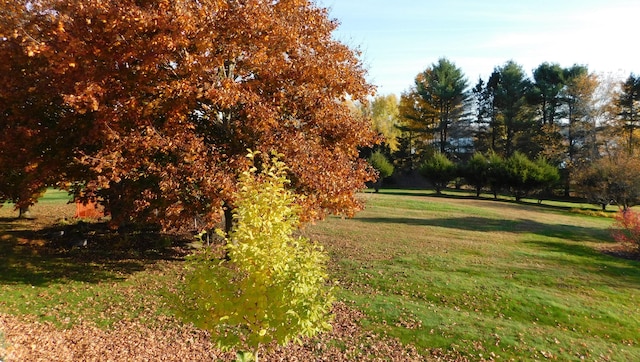 surrounding community featuring a lawn