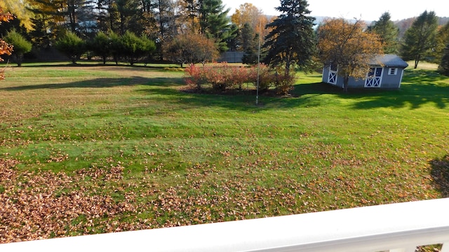 view of yard featuring a shed