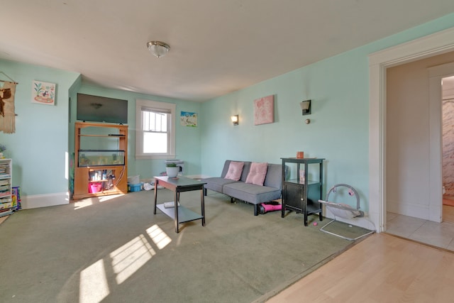 living room featuring wood-type flooring