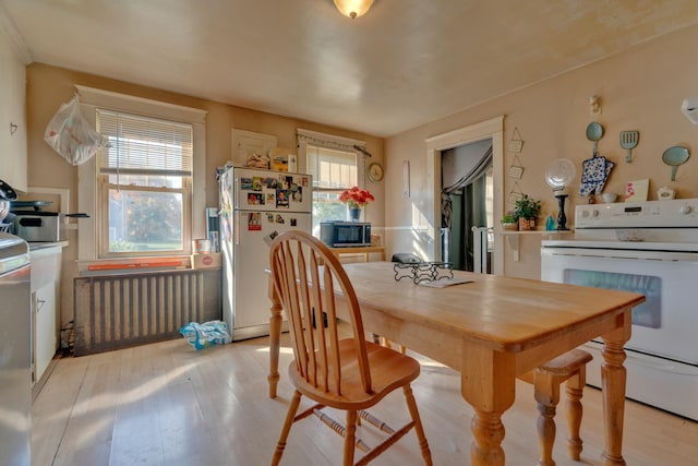 dining area featuring radiator and light hardwood / wood-style floors