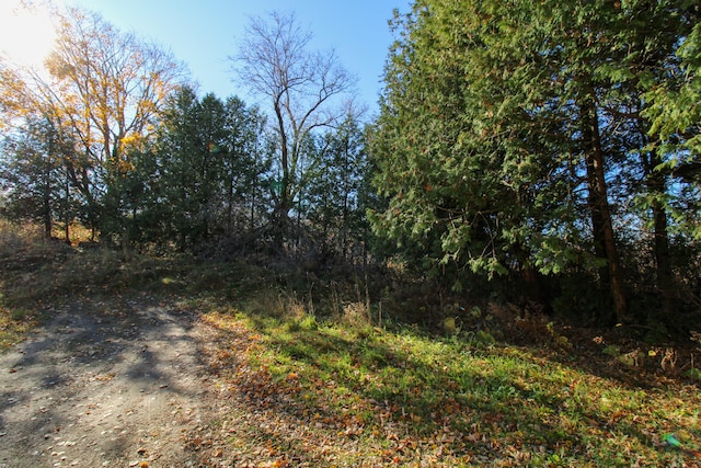 view of road