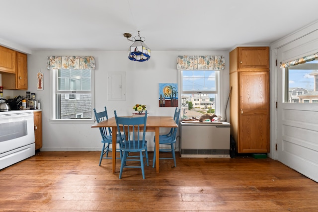 dining room with light hardwood / wood-style floors