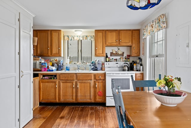 kitchen featuring sink, electric panel, electric range, and dark hardwood / wood-style floors