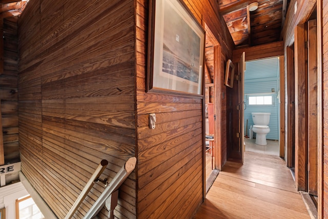 hall featuring wood ceiling, wood walls, and light hardwood / wood-style flooring