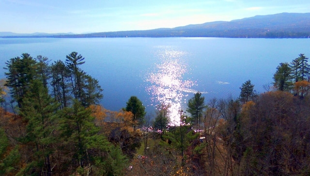 property view of water with a mountain view