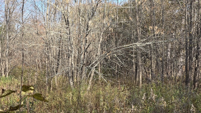 65 Center St, Baring Plt, ME 04694 - photo 4