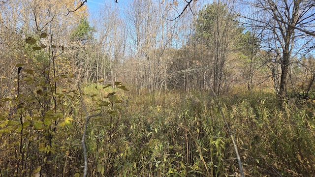 65 Center St, Baring Plt, ME 04694 - photo 5