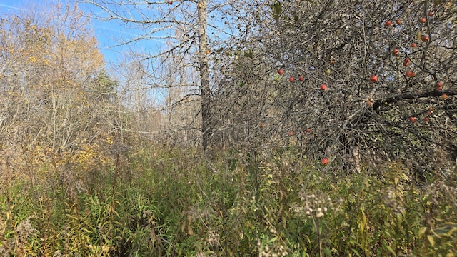 65 Center St, Baring Plt, ME 04694 - photo 6