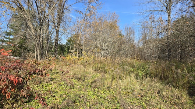 65 Center St, Baring Plt, ME 04694 - photo 2