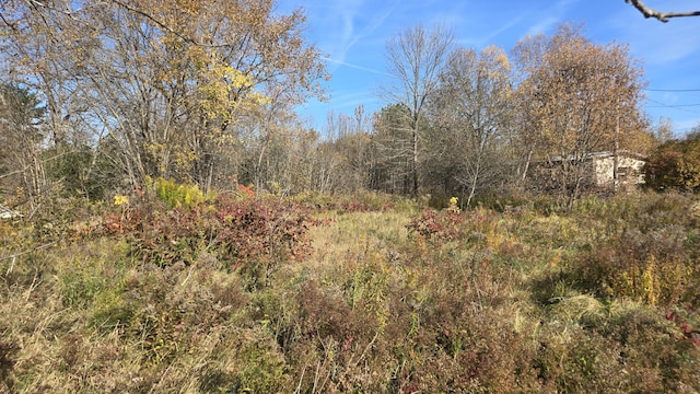 65 Center St, Baring Plt, ME 04694 - photo 8