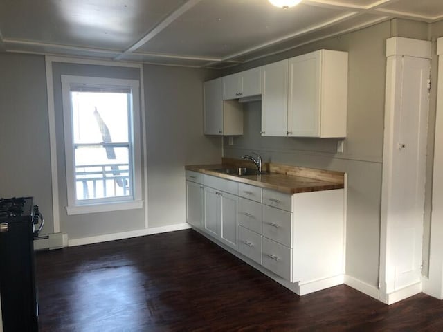 kitchen with white cabinetry, sink, and dark hardwood / wood-style flooring