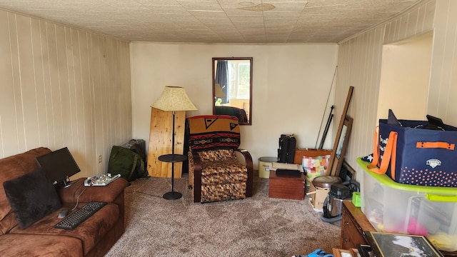 sitting room featuring wooden walls and carpet floors