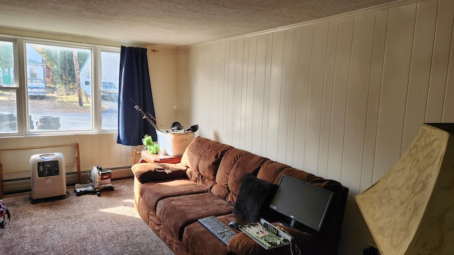185 Knox St, Millinocket, ME 04462 - carpeted living area with wood walls, a textured ceiling, and ornamental molding