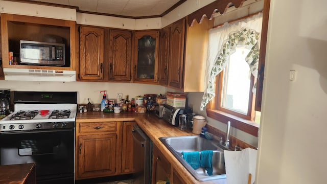 kitchen with appliances with stainless steel finishes, sink, ventilation hood, and wooden counters