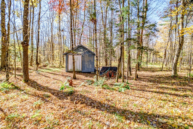 view of yard with a shed