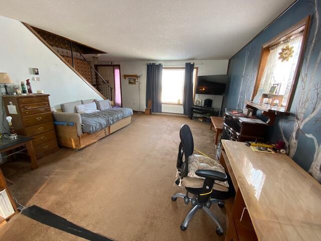 office area featuring a textured ceiling and carpet flooring