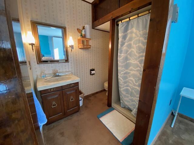 bathroom featuring vanity, toilet, and curtained shower