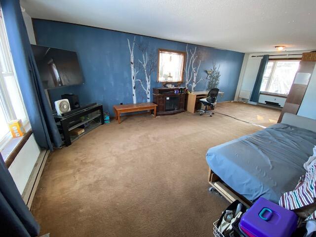 carpeted living room with a baseboard heating unit