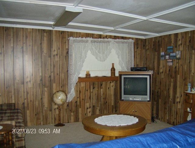 living area featuring carpet flooring and wooden walls