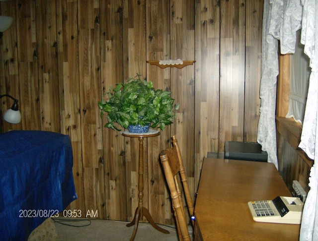 interior space featuring carpet flooring and wooden walls