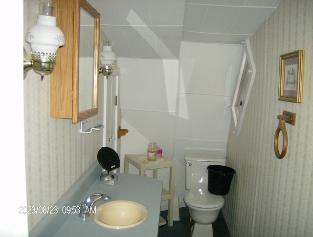 bathroom with sink and toilet