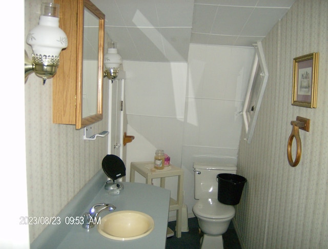 162 Hill Rd Unit T1 R9, Wels, ME 04462 - bathroom featuring a sink, toilet, and wallpapered walls