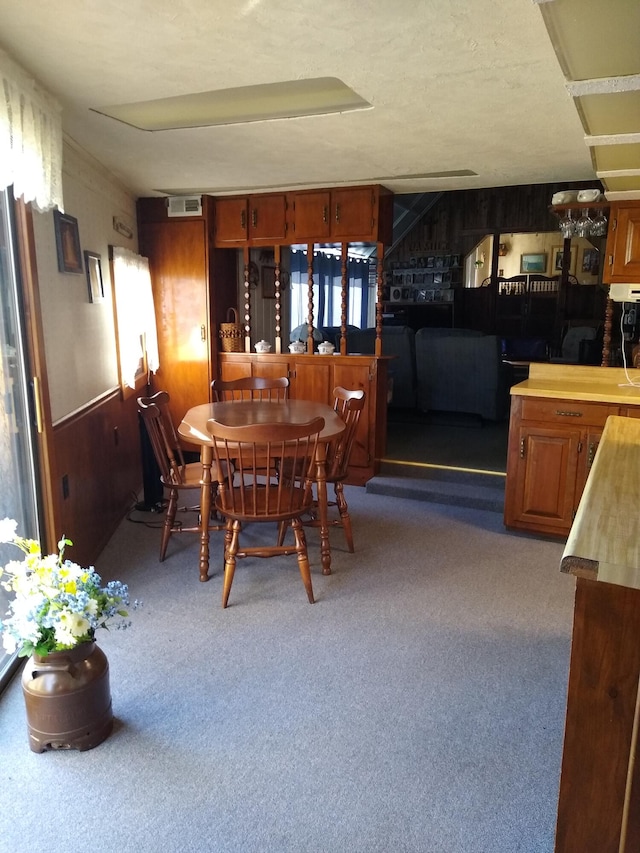 carpeted dining area with wood walls, a healthy amount of sunlight, and a textured ceiling