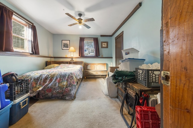 carpeted bedroom with multiple windows, crown molding, and ceiling fan