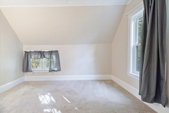 bonus room featuring a healthy amount of sunlight, vaulted ceiling, and carpet floors