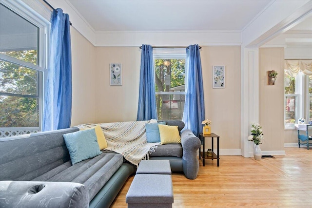 living room with crown molding and wood-type flooring