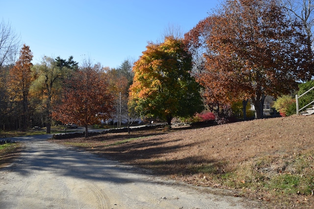 view of street