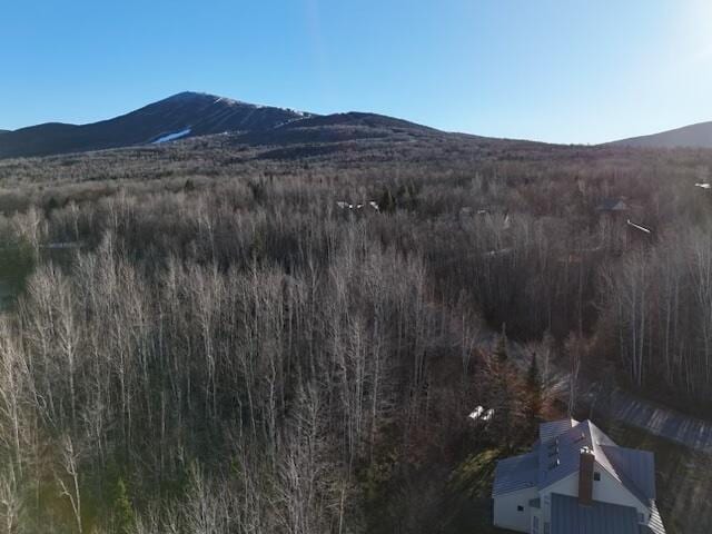 6071 Village On The Green Rd Unit G-11, Carrabassett Valley, ME 04947 - view of mountain background with a forest
