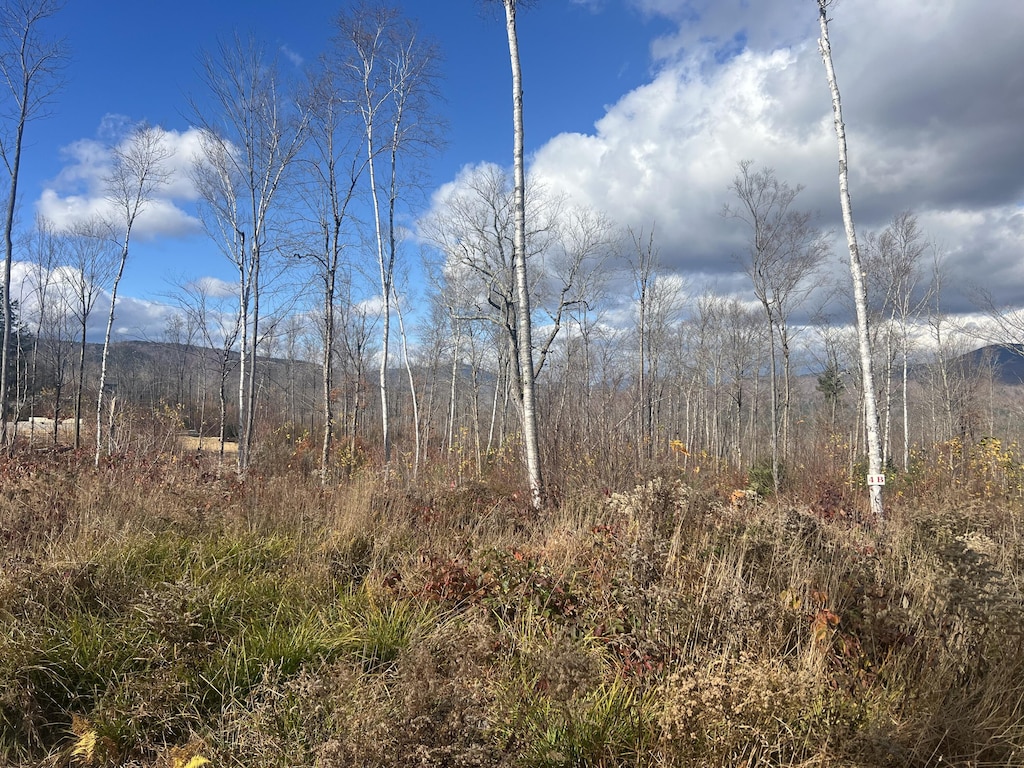LOT4B Harmony Row, Bethel, ME 04217