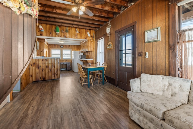 dining space with beam ceiling, dark wood-type flooring, ceiling fan, and wooden walls