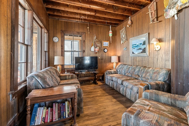 living room with dark hardwood / wood-style flooring, beamed ceiling, wood ceiling, and wood walls