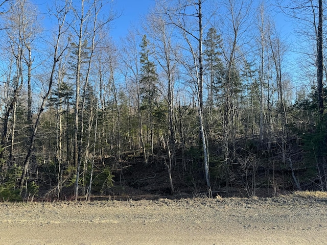 0 Young Lake Rd, Westfield ME, 04787 land for sale