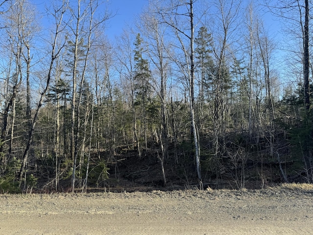 0 Young Lake Rd, Westfield, ME 04787