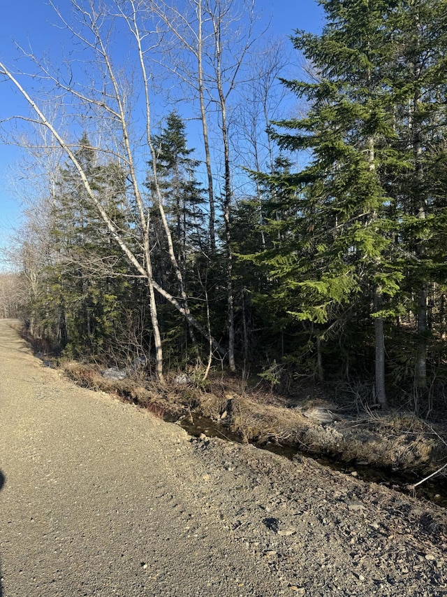 0 Young Lake Rd, Westfield, ME 04787