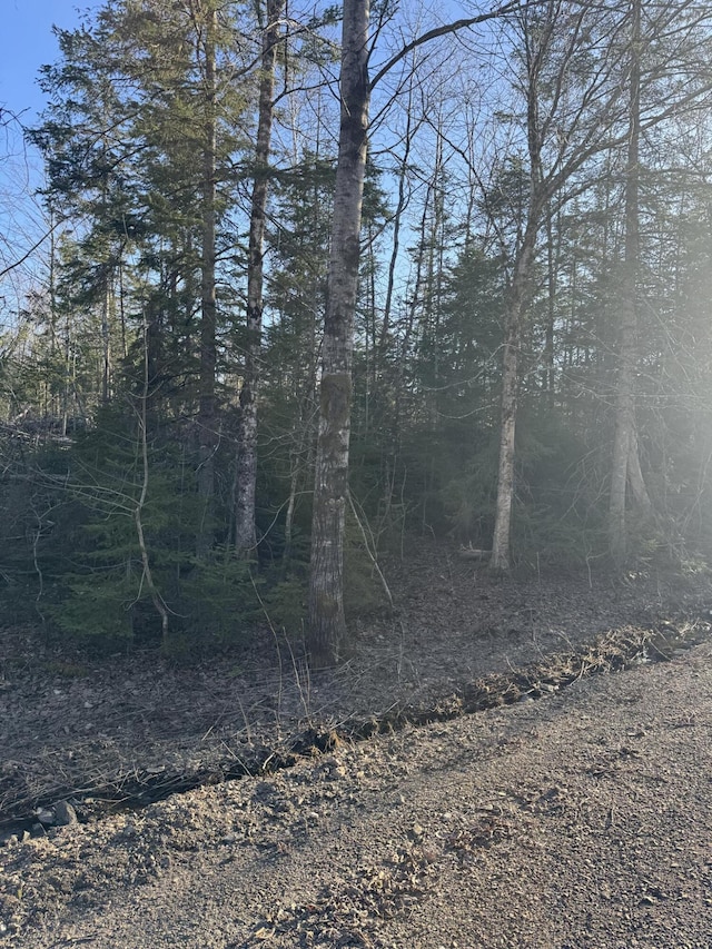 0 Young Lake Rd, Westfield, ME 04787