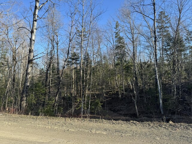 0 Young Lake Rd, Westfield, ME 04787