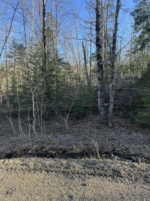 0 Young Lake Rd, Westfield, ME 04787